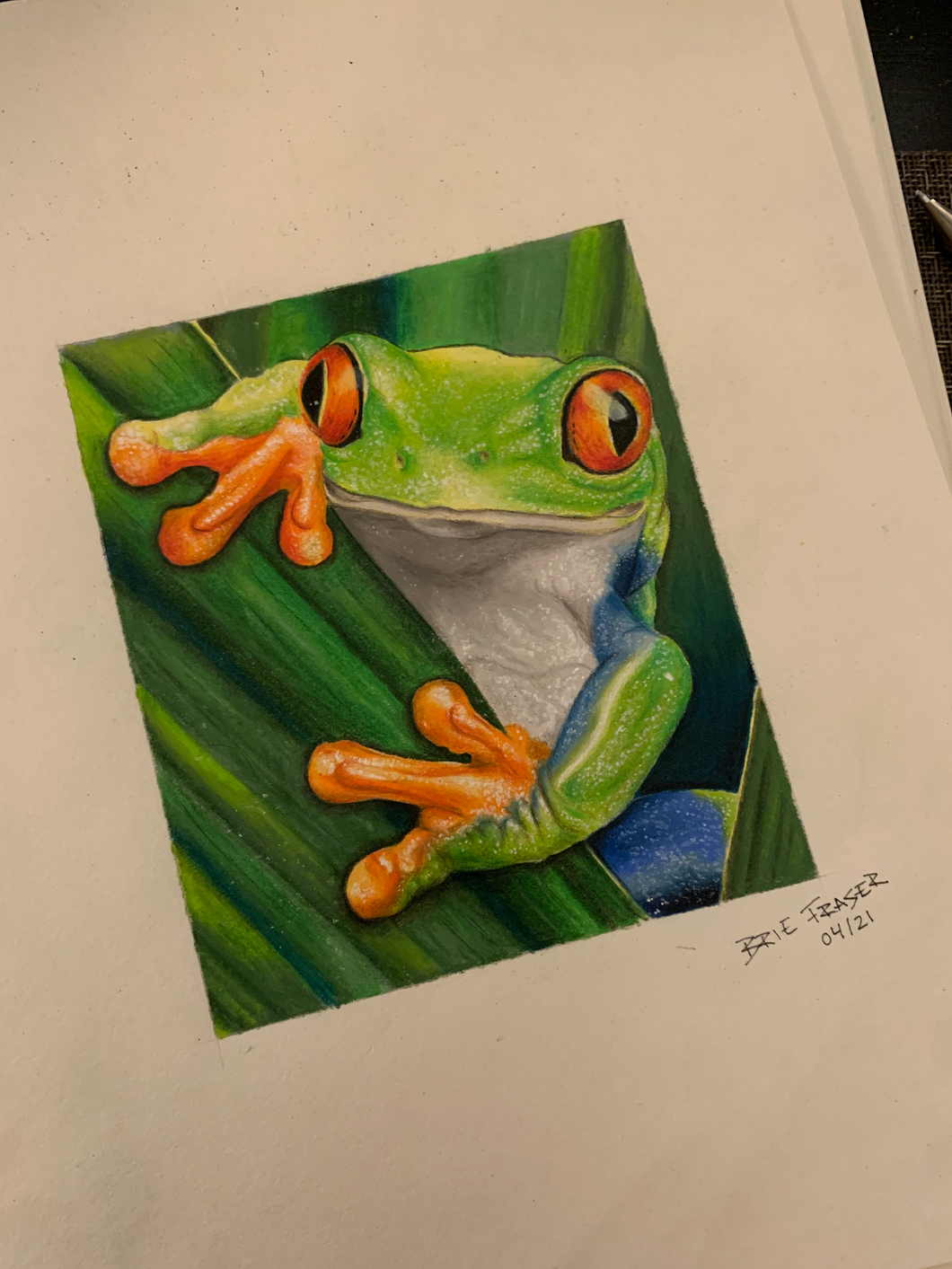 Tree Frog Print